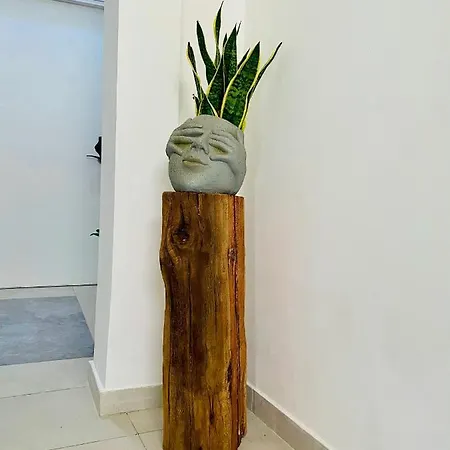 248 Boutique Studios, Boutique Hotel, سليمة