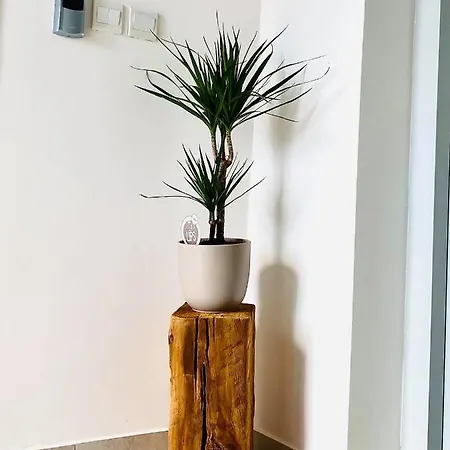 248 Boutique Studios, Konukevi 4*