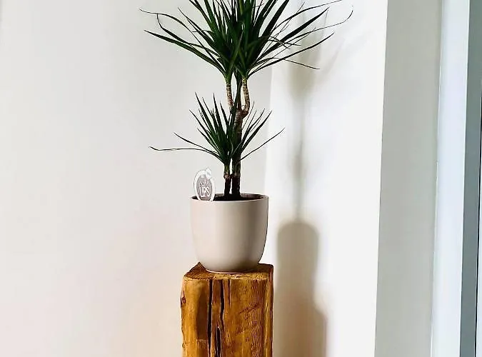 248 Boutique Studios, Konukevi 4*