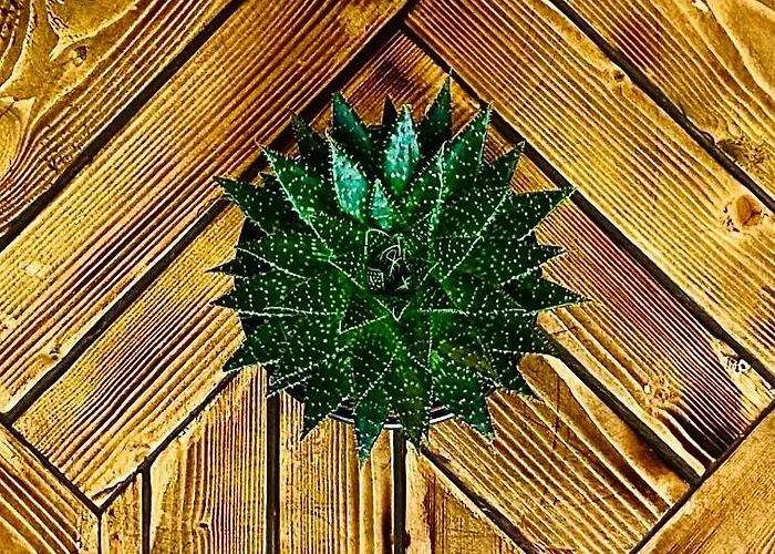 248 Boutique Studios, 4* Sliema