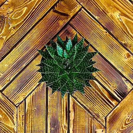 248 Boutique Studios, 4* 슬리에마