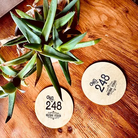 248 Boutique Studios, 게스트하우스 슬리에마